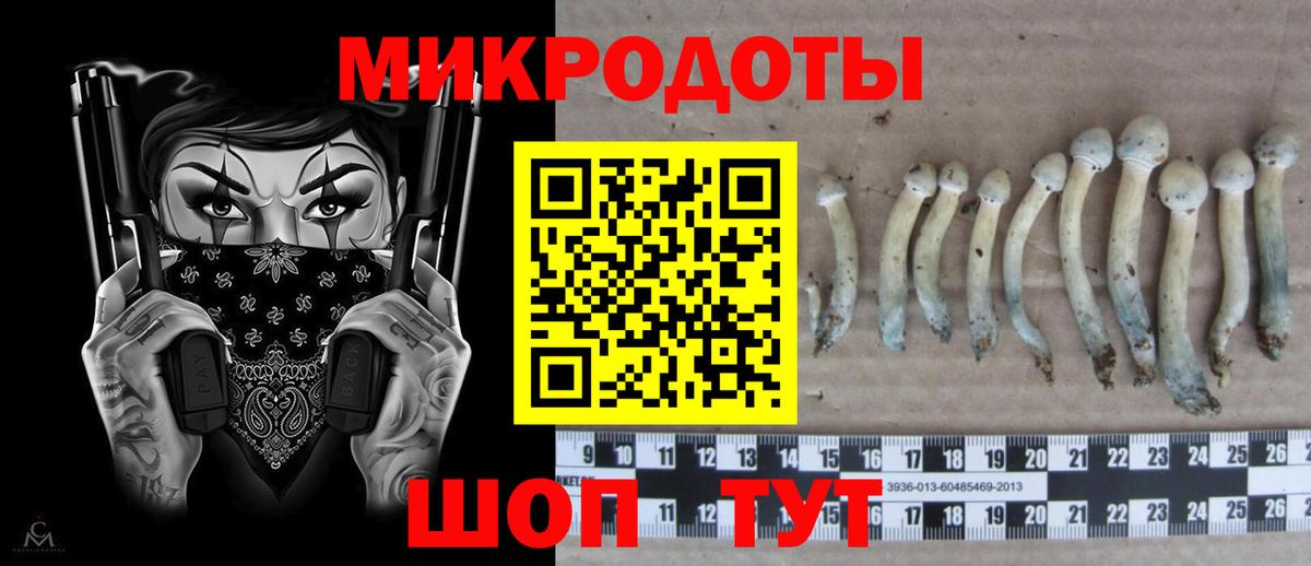 купить закладку  Галлюциногенные грибы мицелий  Вход с VPN  Майкоп  Галлюциногенные грибы мухоморы 